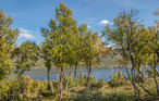 Ferienhaus - Oppdal/Skarvatnet , Norwegen - N38156 2