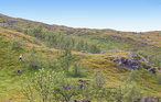 Ferienhaus - Tromsø , Norwegen - N39177 39