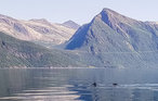 Feriehuse - Kjøpsvik/Tysfjord , Norge - N39158 17