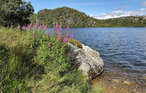 Feriehus - Ljosland/Åseral , Norge - NVI013 13