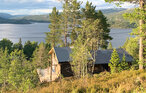 Ferienhaus - Bortelid, Åseral , Norwegen - NVI025 22