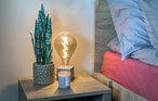Apartment - Kristiansand , Norway - NVK300 15