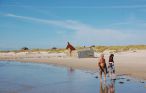 Ferienhaus - Blåvand , Dänemark - P32397 26