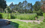Apartment - Blåvand , Denmark - P32962 15