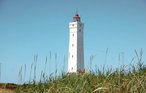 Ferienhaus - Blåvand , Dänemark - P32429 19