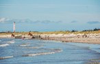 Feriehus - Blåvand , Danmark - P32797 23