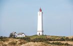 Feriehus - Blåvand , Danmark - P32797 24