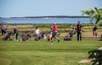 Feriehus - Blåvand , Danmark - P32797 25