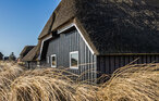 Ferienhaus - Blåvand , Dänemark - P32421 19