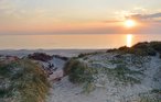 Semesterhus - Henne Strand , Danmark - P42177 5