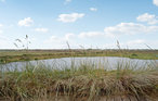 Lejlighed - Nymindegab , Danmark - P52687 12