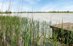 Feriehus - Kretowiny , Polen - PMA799 19
