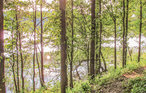 Feriehus - Roje , Polen - PMA347 42
