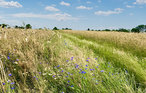 Ferienhaus - Jaroslawiec , Polen - PPL024 19