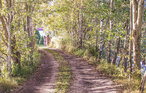 Feriehus - Sianow , Polen - PPO105 20