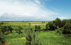 Ferieleilighet - Swinoujscie , Polen - PPO999 12