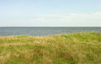 Feriehus - Nowe Warpno , Polen - PPO510 23