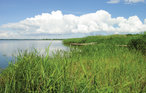 Feriehus - Nowe Warpno , Polen - PPO314 15