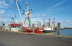 Ferieleilighet - Havneby , Danmark - R10407 18