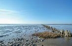 Ferienhaus - Havneby , Dänemark - R10030 33