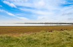 Ferienhaus - Sønderstrand , Dänemark - R10676 20