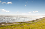 Feriehus - Toftum , Danmark - R10057 26