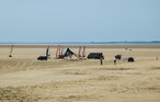 Ferieleilighet - Havneby , Danmark - R10407 19