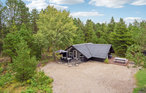 Ferienhaus - Kongsmark , Dänemark - R10542 1