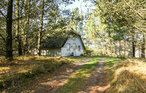 Ferienhaus - Kongsmark , Dänemark - R10510 2