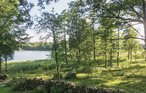 Feriehus - Bjärrödssjön/Perstorp , Sverige - S01039 18