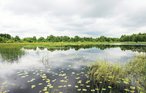 Feriehuse - Holmsjö , Sverige - S03391 46