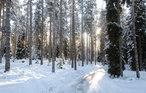 Ferienhaus - Vaggeryd/Skogshyltasjön , Schweden - S04962 28