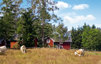 Feriehuse - Vårgårda , Sverige - S07061 2