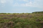 Feriehus - Arrild Ferieby , Danmark - S10270 26