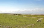 Lejlighed - Højer , Danmark - S10016 32