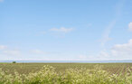 Feriehuse - Ballum , Danmark - S10052 16