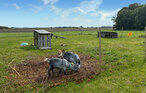 Feriehuse - Højer , Danmark - S10404 19