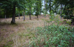 Semesterhus - Kristianstad/Östra Sönnarslöv , Sverige - S11717 20