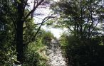 Ferienhaus - Sandby Strand , Schweden - S11003 5