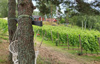 Feriehus - Vittsjö/Vingård , Sverige - S11940 14