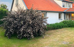 Semesterhus - Vitaby/Simrishamn , Sverige - S11974 14