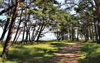 Feriehus - Jonstorp/Höganäs , Sverige - S11271 20