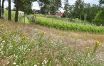 Feriehus - Vittsjö/Vingård , Sverige - S11940 13