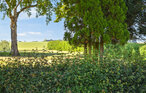 Ferienhaus - Simrishamn/Järrestad , Schweden - S12259 16