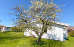 Semesterhus - Skrea strand/Falkenberg , Sverige - S16356 13