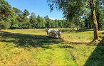 Feriehus - Laholm/Knäred , Sverige - S16323 24