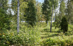 Feriehus - Holmsjö , Sverige - S20262 15