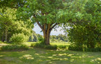 Feriehus - Silkesnäs/Åsnen , Sverige - S25142 11