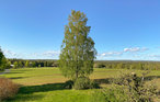 Feriehuse - Alvesta - Småland , Sverige - S25441 11