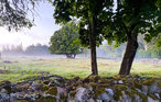 Feriehus - Tingsryd , Sverige - S25488 24